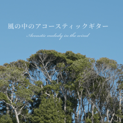 風の中のアコースティックギター (オリジナル)のジャケット写真