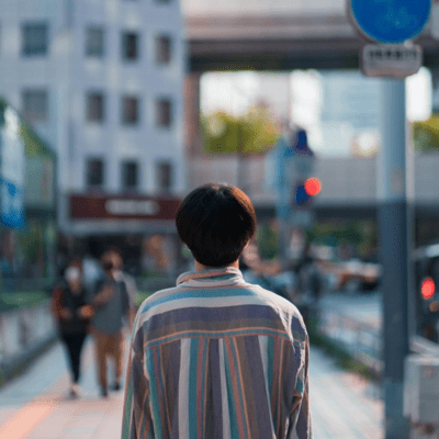 the signs of spring Front Cover