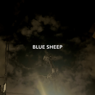 BLUE SHEEP Front Cover