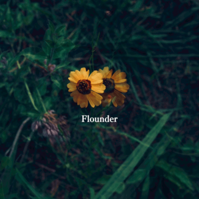Flounderのジャケット写真
