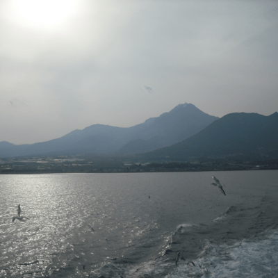 有明不知火旅情のジャケット写真