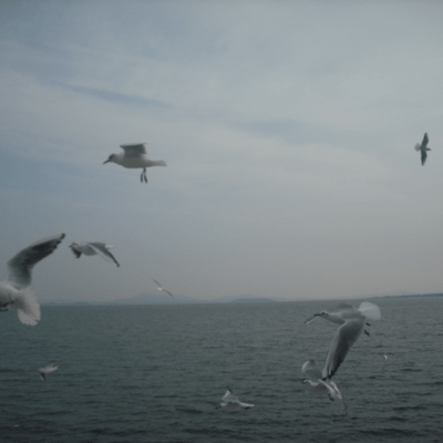 sugiyukutokinonagare Front Cover