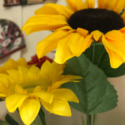 しま演歌シリーズ2段 昭和のジャケット写真