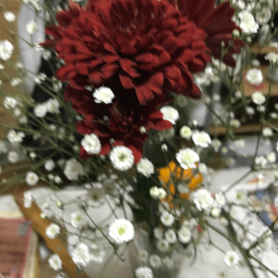 onnnanoturasa Front Cover