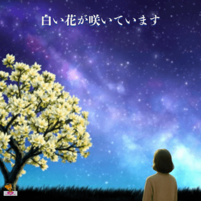 White flowers are blooming (Magnolia Series_ver.4 Female Harmony) Front Cover