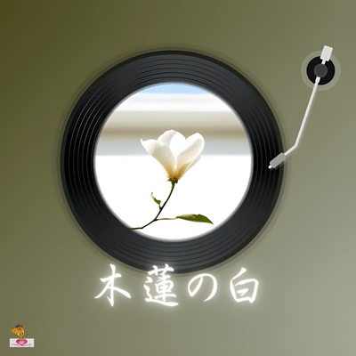 Magnolia White (Magnolia Series_Ver.8 Female Vocals) Front Cover