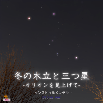 Winter Trees and the Three Stars -Looking Up at Orion- (Drone_ver) Front Cover