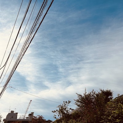 君なんかいらないのジャケット写真