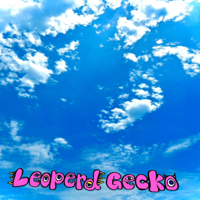 ジュテームのジャケット写真