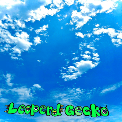 グラジオラスが咲く前にのジャケット写真