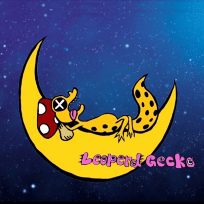 月のジャケット写真