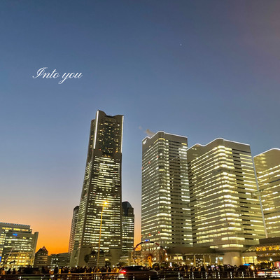 Into you Front Cover