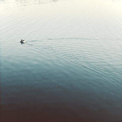 wade a creek Front Cover