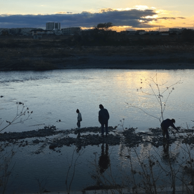 Not Found Front Cover