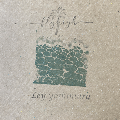 Fly high Front Cover