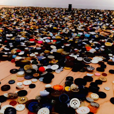 Five Senses Front Cover