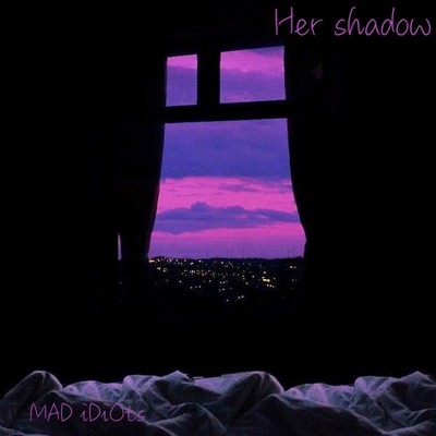 Her shadowのジャケット写真