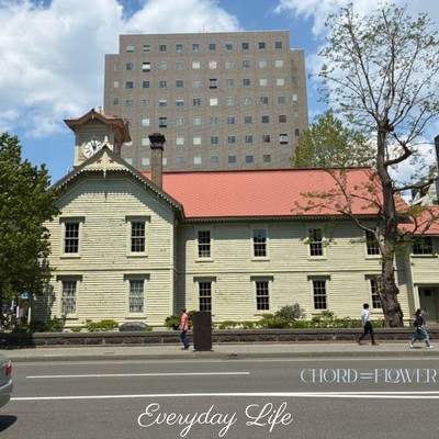 Everyday Life / Resetのジャケット写真