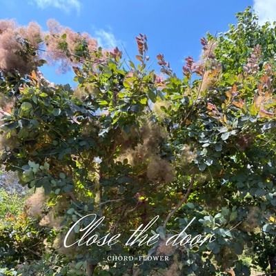 Close the door Front Cover