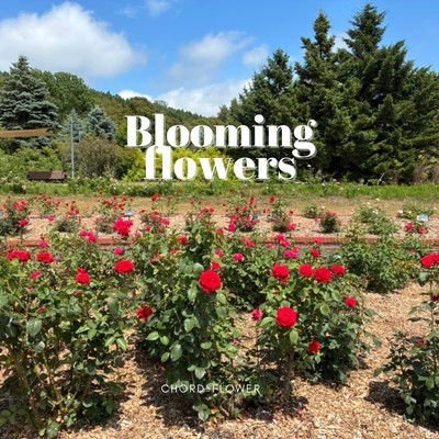 Blooming flowers Front Cover