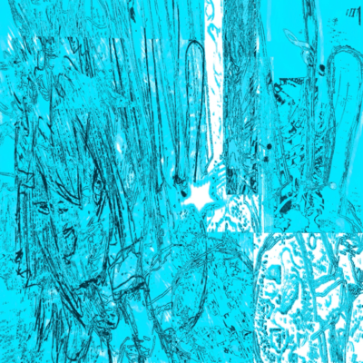 fasho np Front Cover