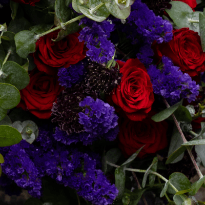 BLOOMのジャケット写真