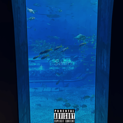 $wim Front Cover