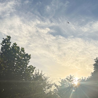 inspiration Front Cover