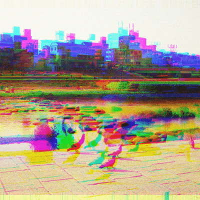Rose Front Cover
