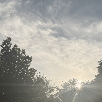 Good Night LPのジャケット写真