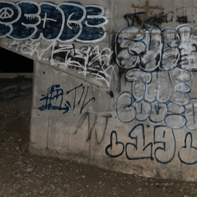 天楽のジャケット写真