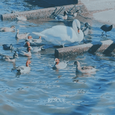RESCUE Front Cover