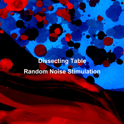 Random Noise Stimulation (Collection Of Binaural Recordings) Front Cover