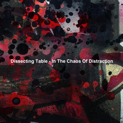In The Chaos Of Distractionのジャケット写真