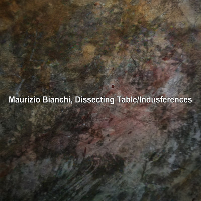 Indusferences Front Cover