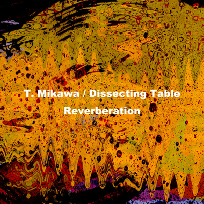 Reverberation Front Cover