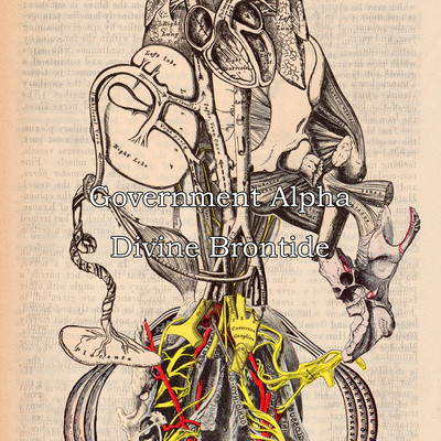 Divine Brontide Front Cover