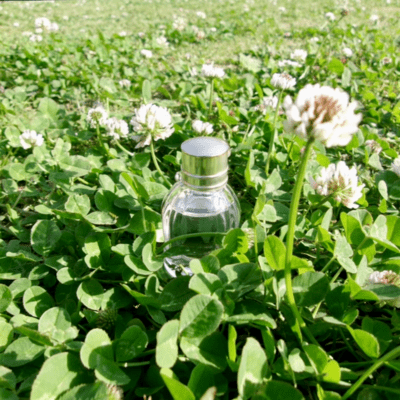 Spring in the flacon Front Cover