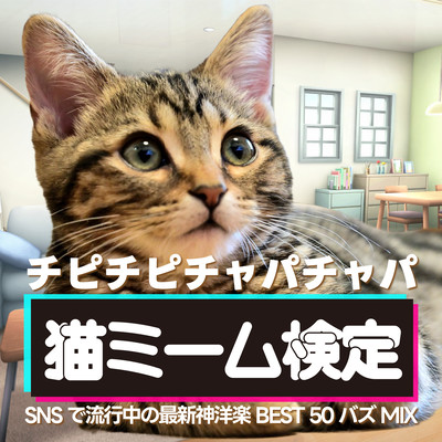 CHIPICHIPICHAPACHAPA NEKOMI-MU KENTEI ~SNSDERYUUKOUTYUUNO SAISHINNKAMIYOUGAKU BEST 50 BUZZ MIX~ (DJ MIX) Front Cover