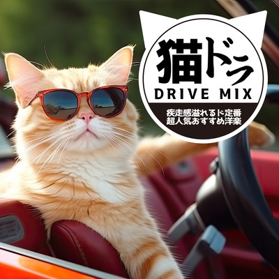 NEKO DRIVE MIX ~SHISSOKANN AFURERU DOTEIBAN CHOTEIBAN OSUSUMEYOUGAKU~ (DJ MIX) Front Cover