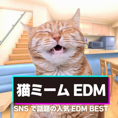 Cat Meme EDM - Popular EDM BEST on SNS (DJ MIX) Front Cover