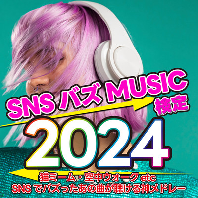 SNS Buzz MUSIC Test 2024 - Cat Memes, Aerial Walks, etc. - A Medley of Gods to hear those songs that have been buzzed about on SNS. (DJ MIX) Front Cover