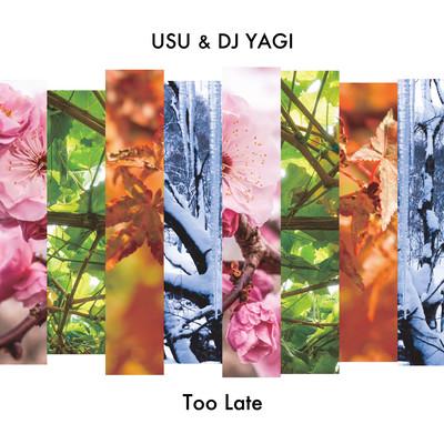 Too Late (Chorus Version) Front Cover