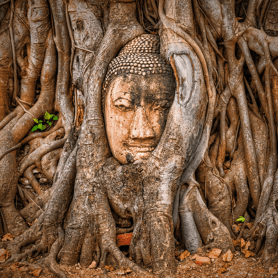 Ideaのジャケット写真