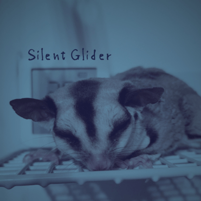 Silent Glider Front Cover