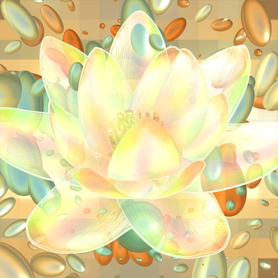 KEY-MYOのジャケット写真