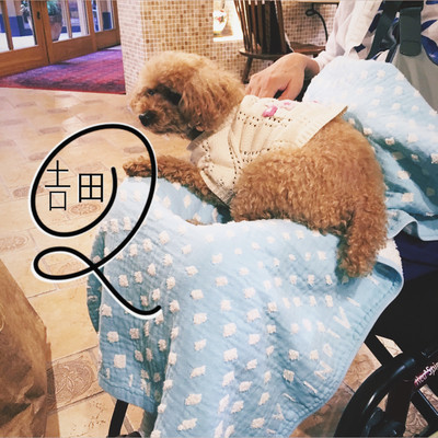 SWEET LATINA6 Front Cover