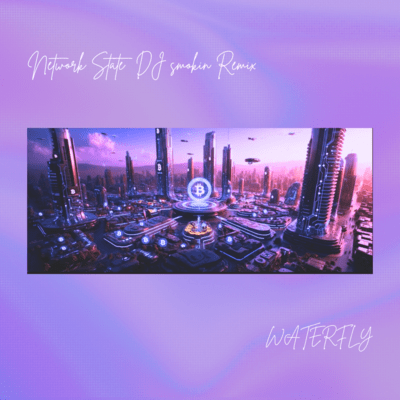 Network State (DJ smokin Remix) Front Cover