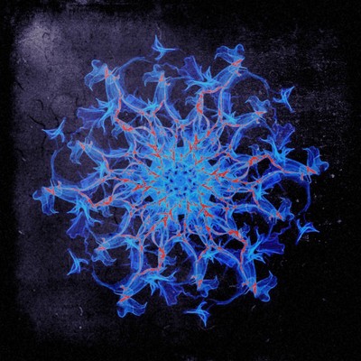 サンクチュアリィ -排他的救済水域-のジャケット写真