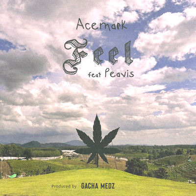 Feel (feat. PEAVIS)のジャケット写真